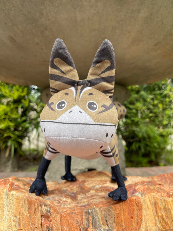 Loth Cat Plushies are SOLD OUT! ❤️❤️❤️